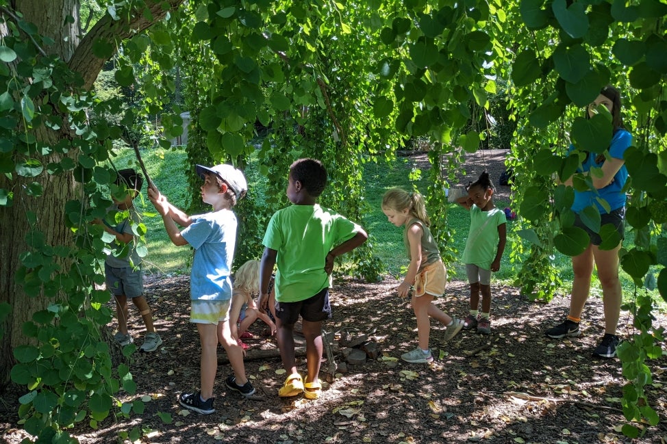 A group of young camp students explore underneath a tree. 