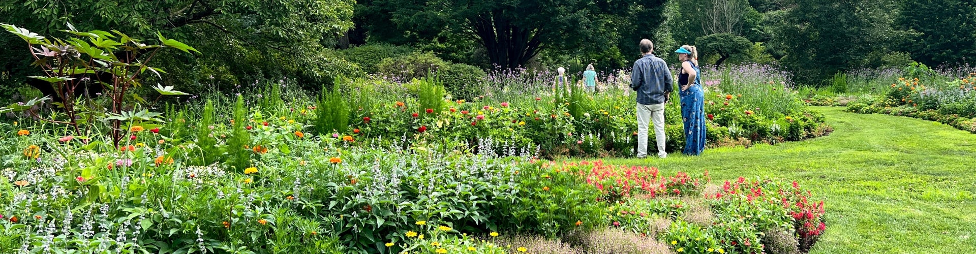 A man and woman admiring paisley-shaped garden beds in bloom with vibrant flowers.