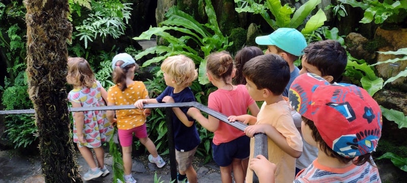A group of children in summer camp walk in a line through a lush green fernery. 