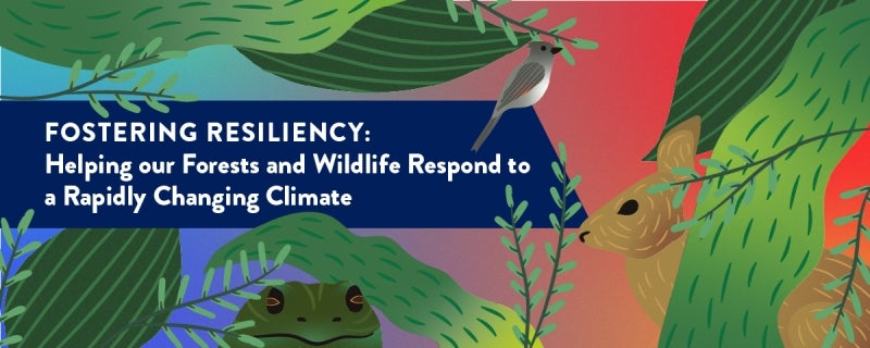 Fostering Resiliency: Helping our Forests and Wildlife Respond to a Rapidly Changing Climate