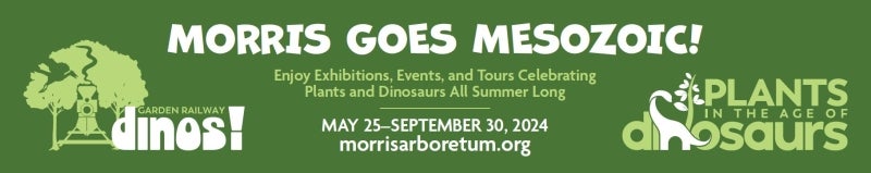 An ad for Summer of Dinos at the Morris Arboretum & Gardens.