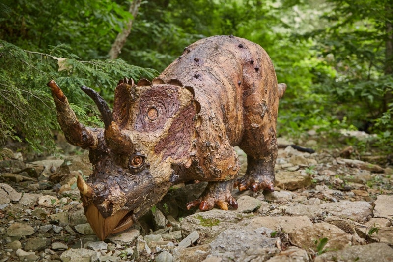 A large fabricated Triceratops dinosaur made of natural materials. 