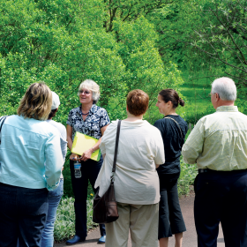 7 adults admire a tree on a tour of Morris Arboretum