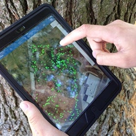 A close-up of hands on an Ipad. 