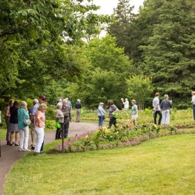 A large group of people mingling in a public garden. 