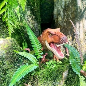 A toy dinosaur set in a greenhouse filled with ferns and rocks.