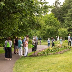 A group of people mingle outdoors in a public garden.