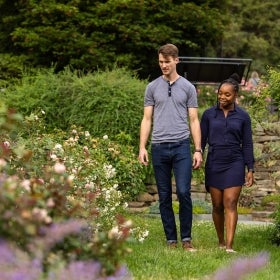 A couple hold hands while walking through a rose garden in bloom.