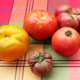 A variety of tomatoes set against a colorful tablecloth.