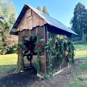 A small wood cottage covered in large holiday wreaths on a sunny day. 