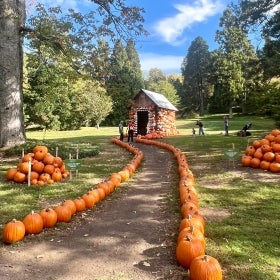 A small cottage covered in pumpkins in a green outdoor setting with people walking about.