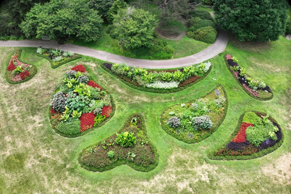 An aeriel photo of eight paisley-shaped garden beds filled with bright colored flowers and foliage. 