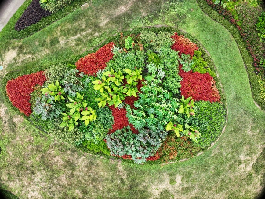 An aerial photo of a paisley-shaped garden bed filled vibrant flowers and foliage.