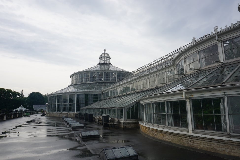 A large glass greenhouse on a gray day with rain puddle on the pavement. 