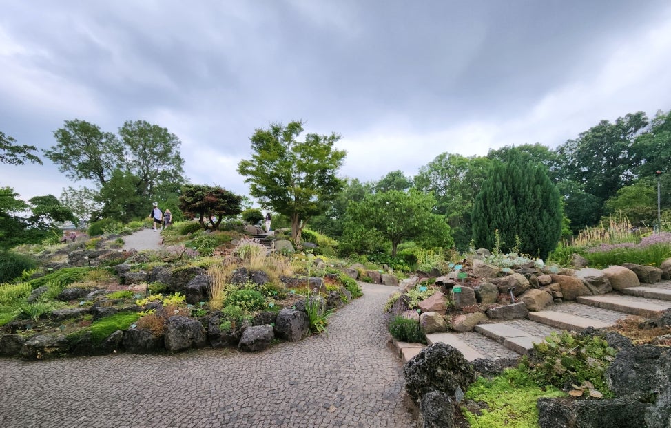 A rock garden filled with plant and trees on a cloudy day. 