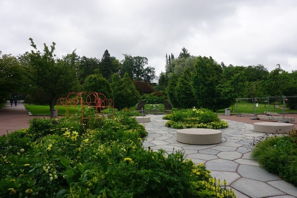 An outdoor space with garden beds of green foliage and yellow flowers with a stone path woven throughout. 