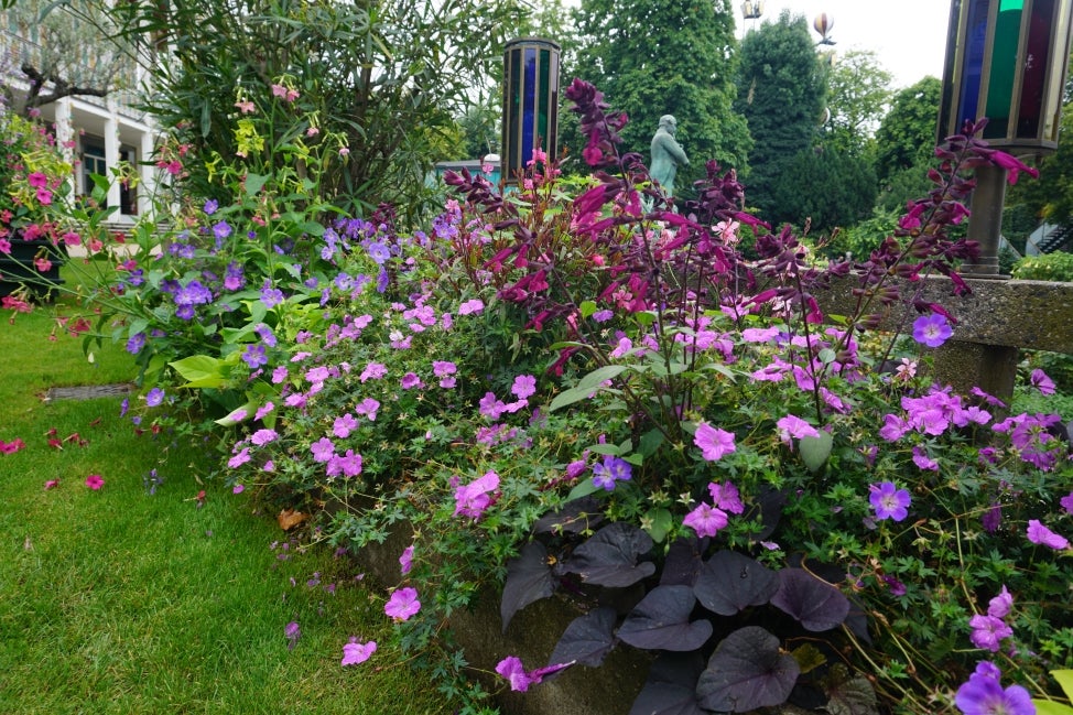 A garden bed filled with purple, magenta, and pink flowers. 