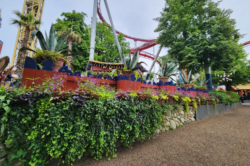 In the background is a rollercoast, and in the foreground are lush plantings of pink flowers and green foliage. 