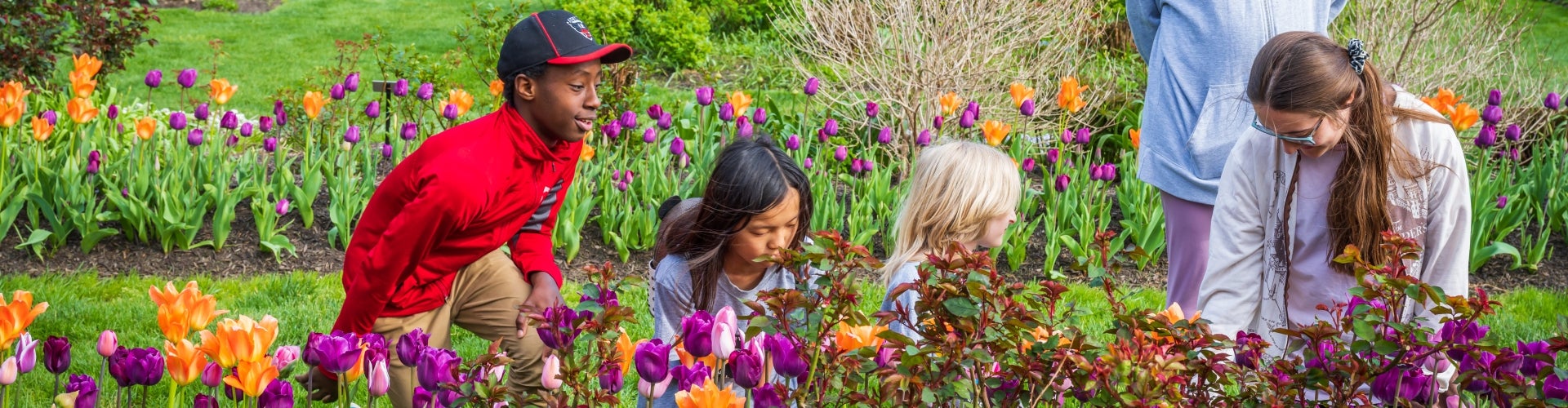 A group of children and two adults admire a garden of tulips.