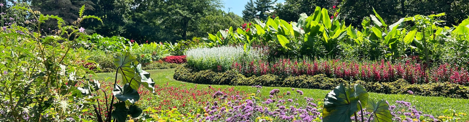 A garden in bloom with paisley-shaped beds of colorful plants and flowers.