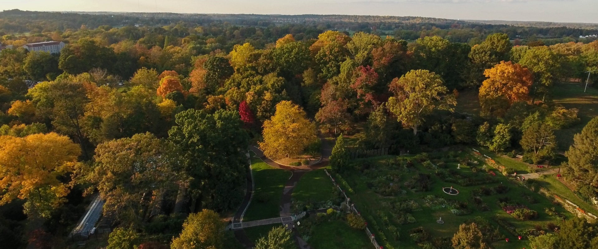 An aerial view of the Morris Arboretum Rose Garden. 