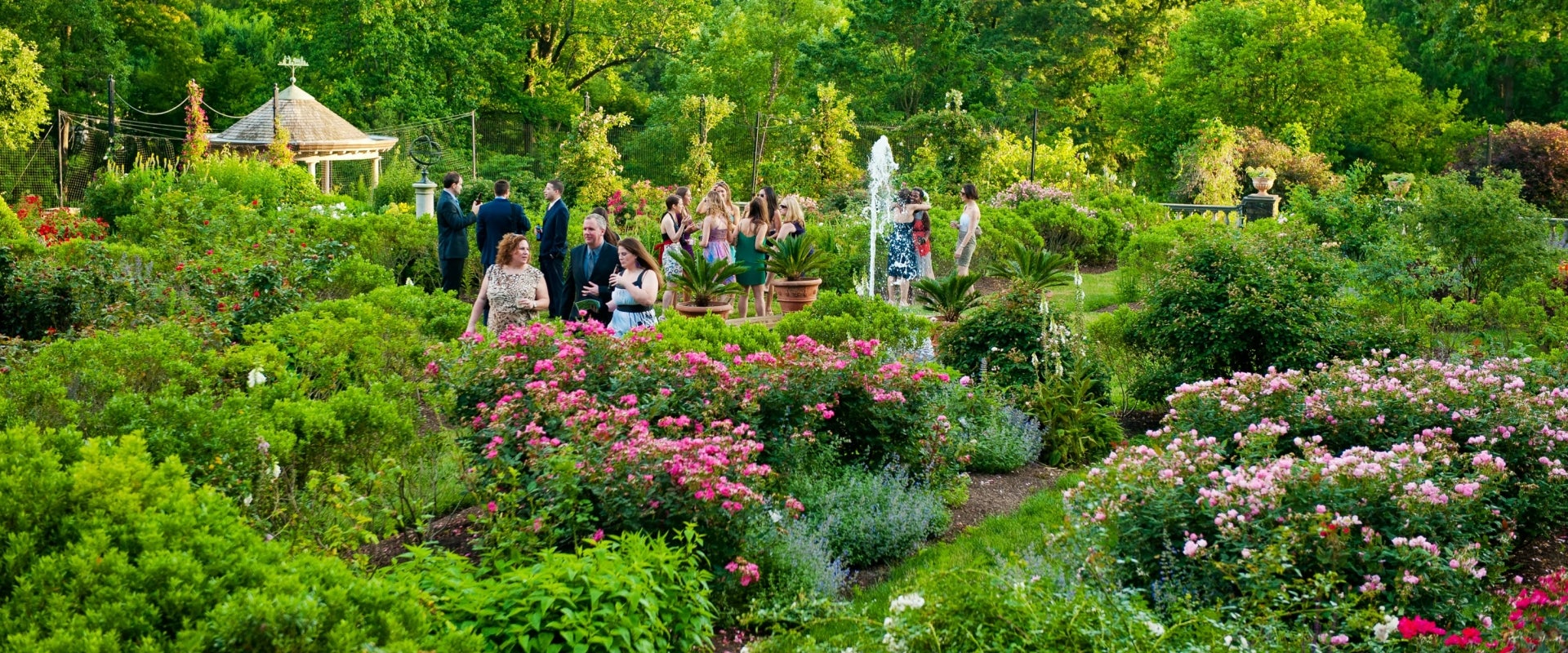 Plan an Event  Morris Arboretum & Gardens