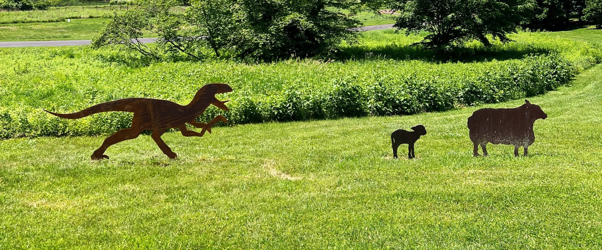 A metal dinosaur is positions to be chasing two metal sheep outdoors in a public garden. 