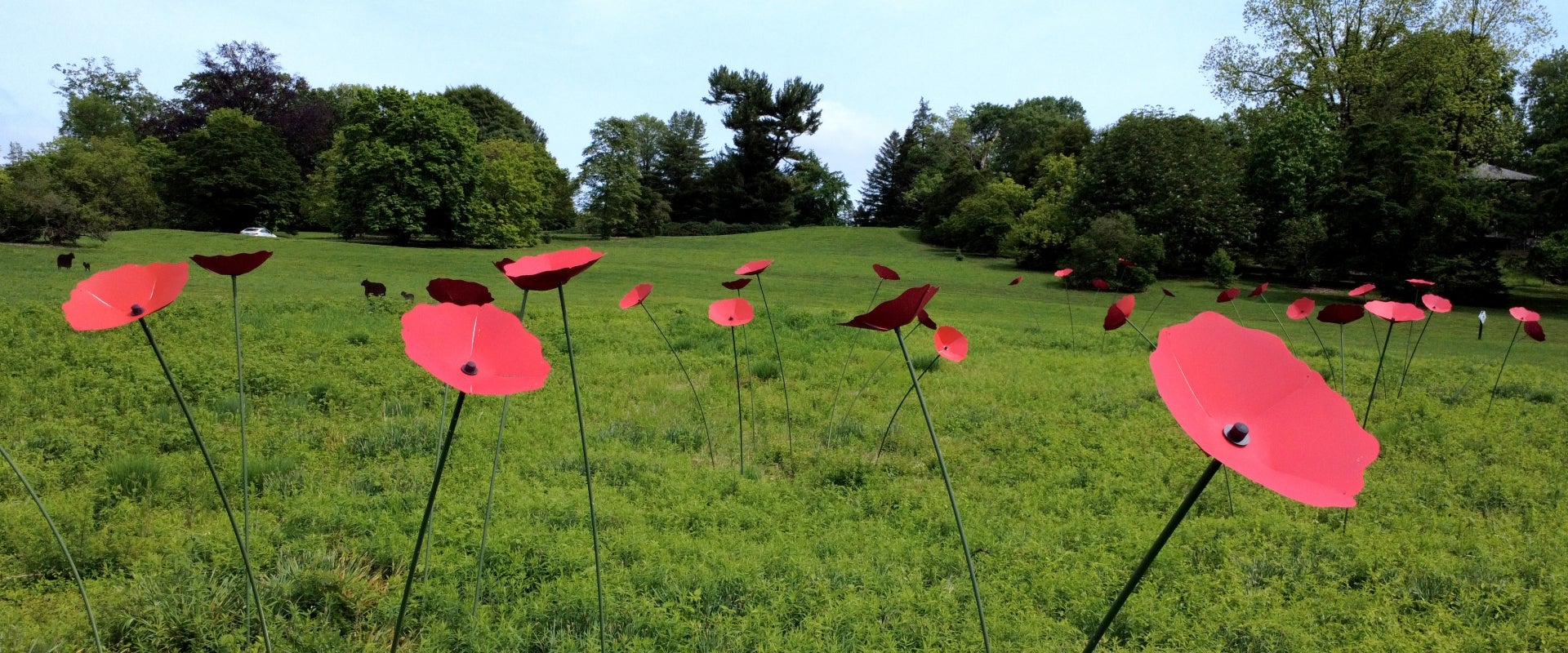 A green meadow filled with large red fabricated poppies.
