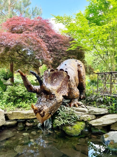 A large fabricated Triceratops made of natural materials leans over a pond in a public garden.