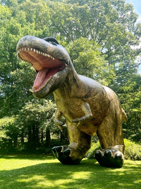 A 25-foot inflatable Tyrannosaurus rex stands outdoors, surrounded by trees and greenery. 