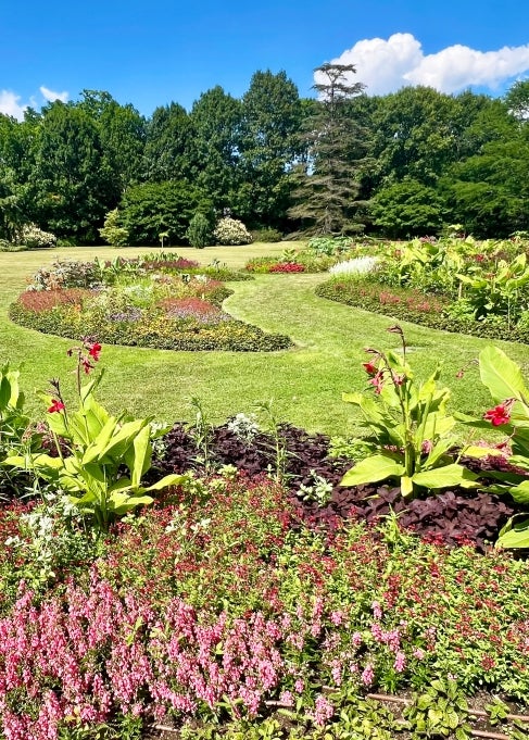 A garden with multiple beds in a paisley shaped filled with bright, colorful flowers on a sunny day. 