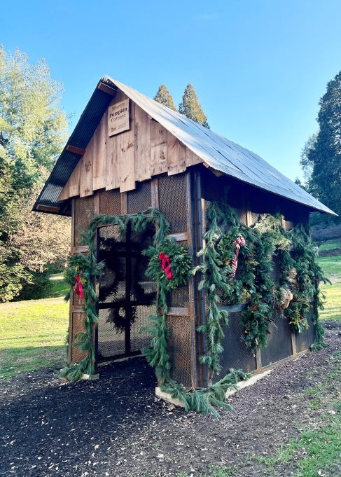 A small wood cottage covered in holiday wreaths with red bows.