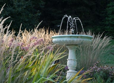 A fountain surrounded by purple and brown foliage.