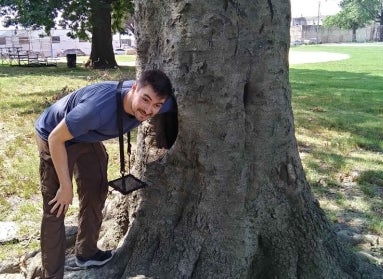 A man stands next to a large tree trunk. 