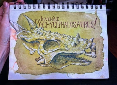 A hand holding up a spiral drawing pad with an illustration of a "Juvenile Pachycephalosaurus!" skull.