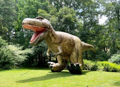 A 25-foot inflatable Tyrannosaurus rex stands outdoors surrounded by green trees. 