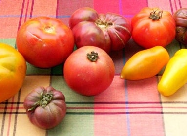 A variety of different color tomatoes set on a colorful tablecloth.