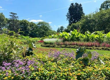 A garden in bloom with paisley-shaped beds and colorful flowers and plants.