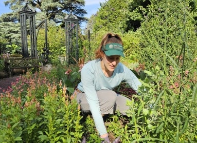 Woman wearing a green visor and green long-sleeved shirt kneeling in a garden
