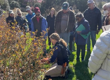 A woman kneels in front of a large rose bush to demonstrate pruning to a group of ten people. 