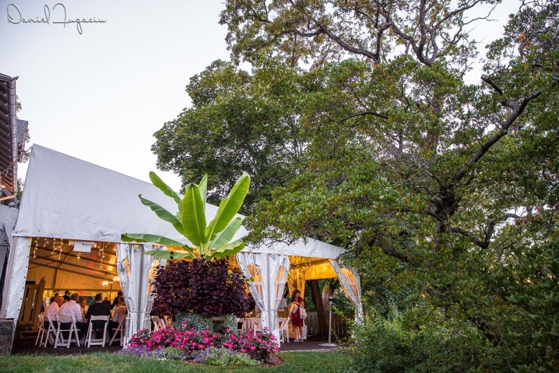 A white events tent surrounded by trees and plants. 