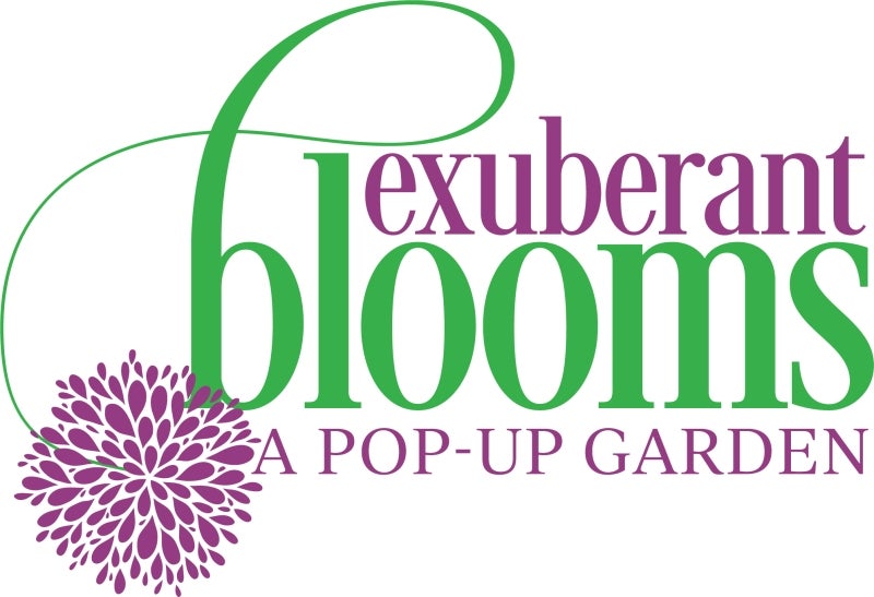 Exuberant Blooms: A Pop-Up Garden