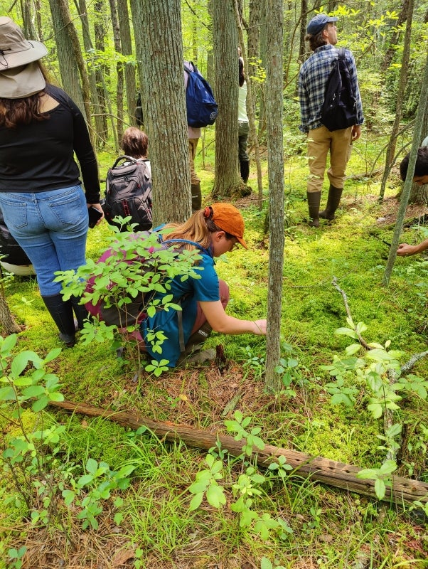 A small group of people walk through the woods examining plants and trees.