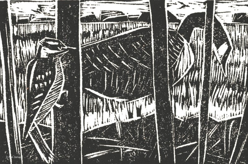 Downy Woodpecker and Canada Goose, Linocut, 2013.