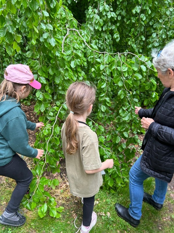 An older woman holds the leaf of a tree in her hand while talking to two young children. 