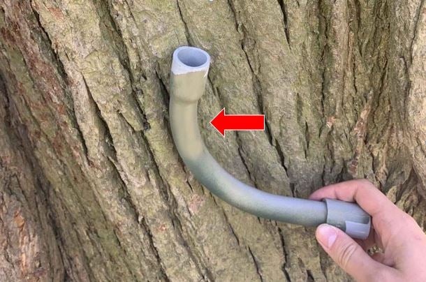 A hand holding a curved conduit up to a tree trunk with a red arrow pointing towards it.