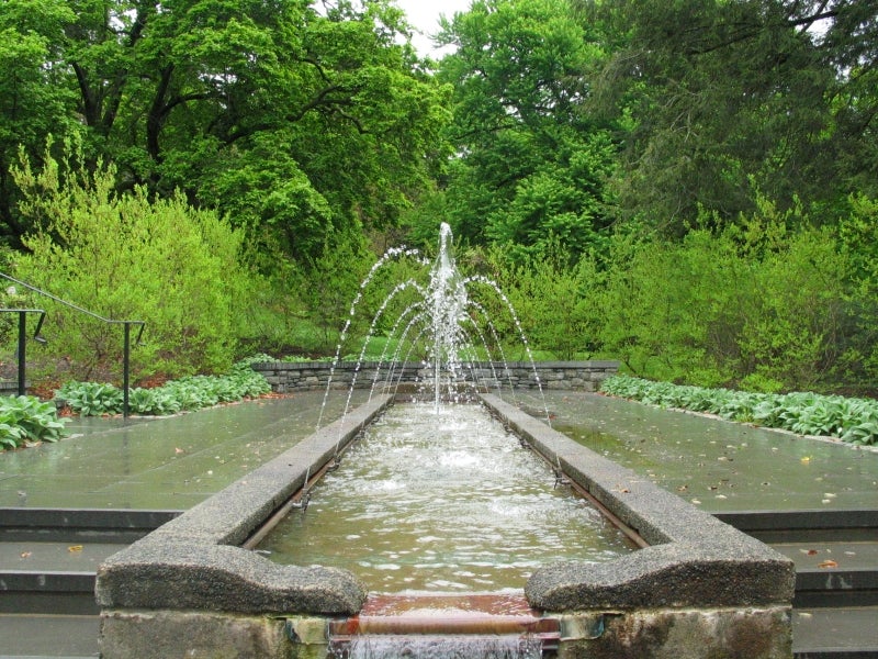 A long, rectangle fountain surrounded by green foliage. 