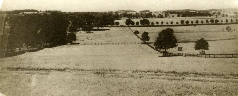 A black and white photograph of a large meadow spotted with trees.